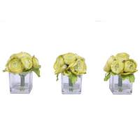 Vickerman 7" Artificial Light Olive Ranunculus in Glass Cube (3 Pack)