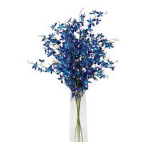Vickerman 35" Artificial Blue Mini Orchid Bouquet in Glass Vase with Acrylic Water