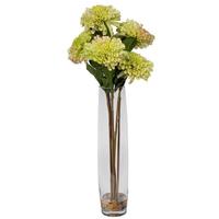 Vickerman 23" Artificial Green Zinnia Bouquet in Glass Vase with Acrylic Water