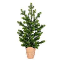 Vickerman 24" x 14" Bryson Spruce Christmas Tree