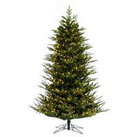 Vickerman 12' x 72" Artificial North Shore Fraser Fir 1,900 Warm White Lights
