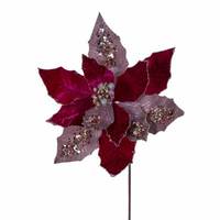 Vickerman 17" Cerise Poinsettia Stem (3 Pack)
