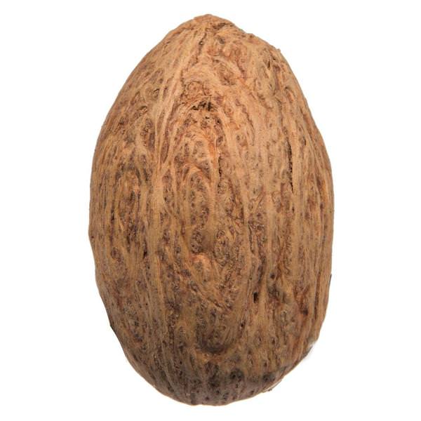 1.18" Amra Pod Natural Pod (4.4 Lbs per Pack)