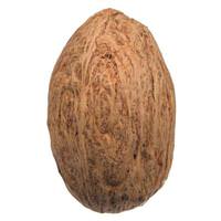 Vickerman 1.18" Amra Pod Natural Pod (4.4 Lbs per Pack)