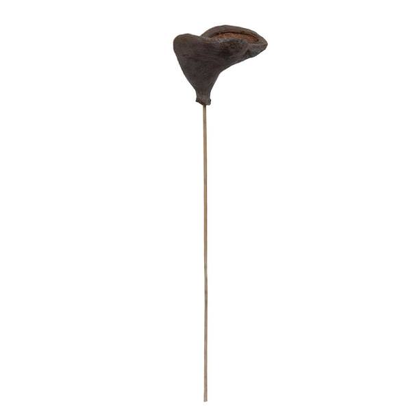 20" Badam on Stem Bundle (25 Pack)