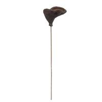 View 20" Badam on Stem Bundle (25 Pack)