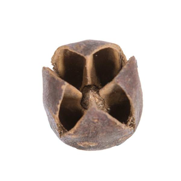 0.78" Bakuli Natural Pod (6.6Lb pack)