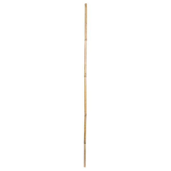 40" Bamboo Reed Natural (100 Pack)