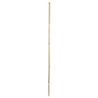 Vickerman 60" Bamboo Reed Natural (100 Pack)