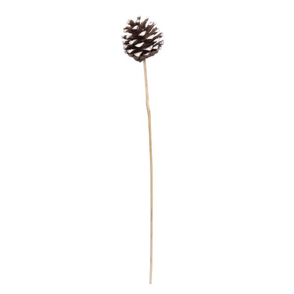 2" Natural Blue Pine White Tip on Stems (50 Pack)