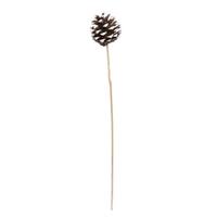 Vickerman 2" Natural Blue Pine White Tip on Stems (50 Pack)