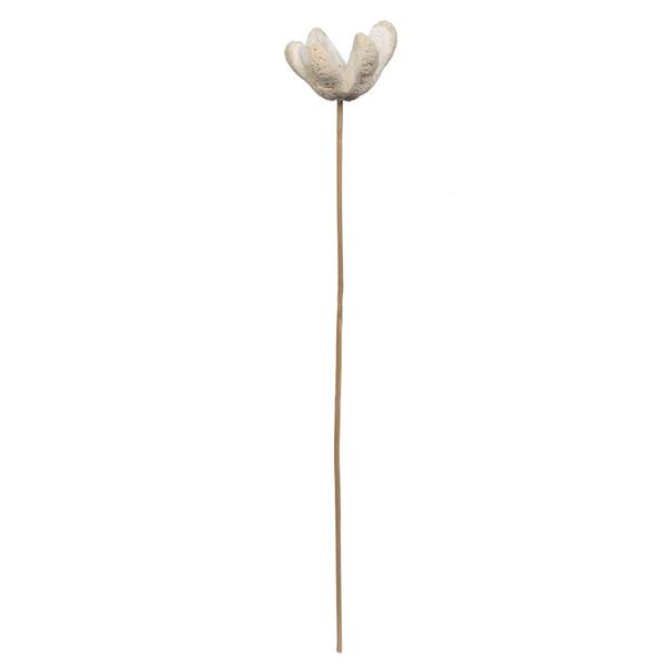 20" Bullet Flower Bleached on Stem (50 Pack)