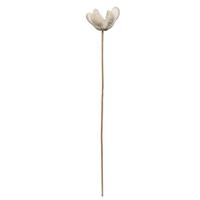 Vickerman 20" Bullet Flower Bleached on Stem (50 Pack)