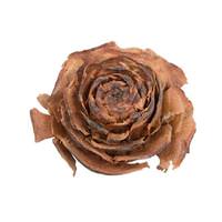 Vickerman 1.3-1.8" Cedar Rose Bleached (100 pack)