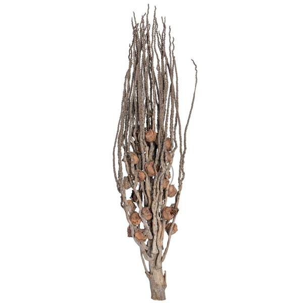32" Coco Jhar Natural (10 Pack)