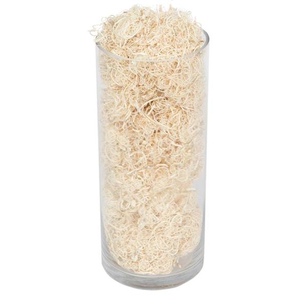 2.2Lbs Curly Bleached Moss Dried and Preserved Natural Botanicals