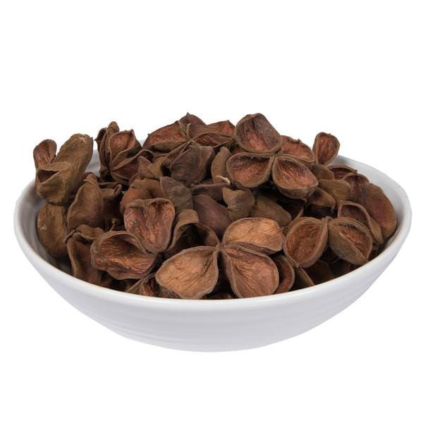 3.2"-4" Land Lotus (50 pack)
