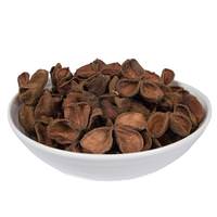 View 3.2"-4" Land Lotus (50 pack)