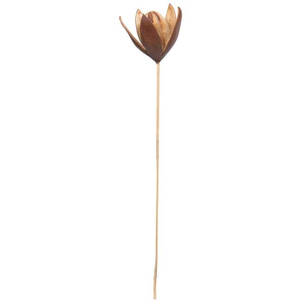 20" Lily on Stem (50 Pack)