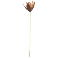 Vickerman 20" Lily on Stem (50 Pack)