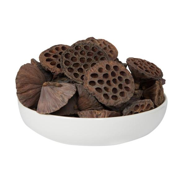 4"-4.8" Lotus Pod Ex-Large (50 Pack)