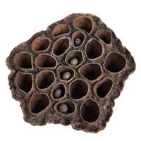 View 2.4"-3.2" Lotus Medium Pods (75 Pack)