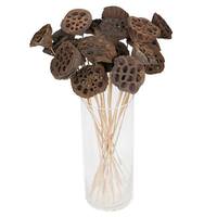 Vickerman 20" Lotus Pod Medium on Stem (50 Pack)