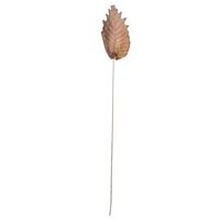 View 20" Oak Leaf Natural Ting (100 Pack)