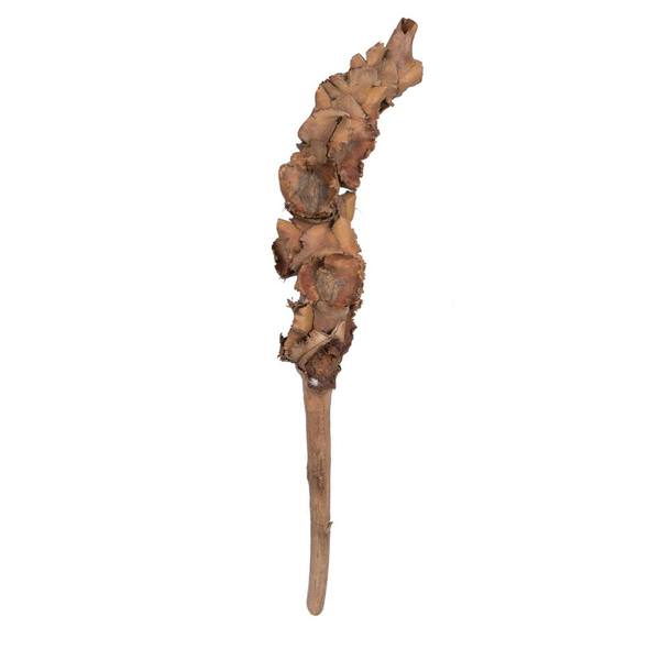 8"-10" Palm Female (10 pack)