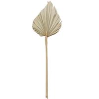 Vickerman 20" Palm Spear Natural Spear (50 pack)