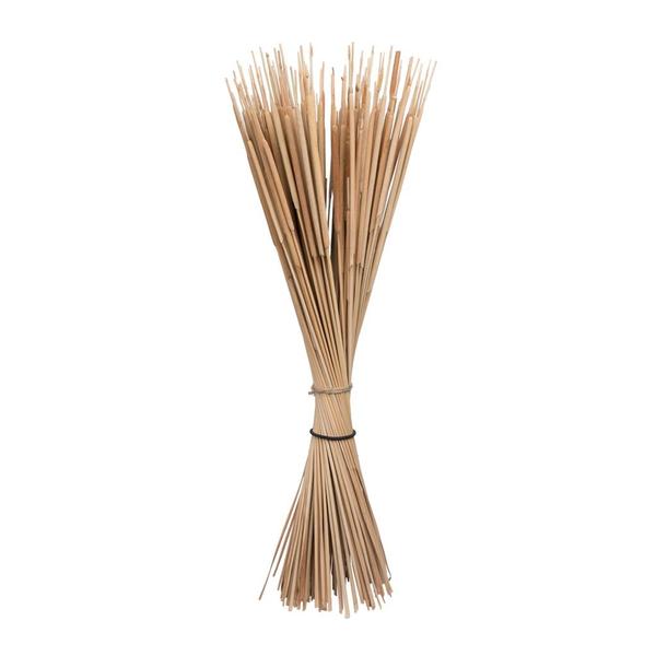 24" Reed Spadix Pencil Bundle (150 Pack)