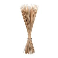 Vickerman 24" Reed Spadix Pencil Bundle (150 Pack)