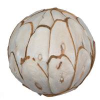 View 2.4" Sola Chips Ball (50 Pack)