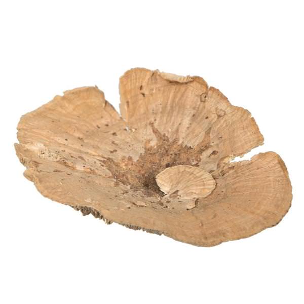 4"-6" Sponge Mushroom Medium (50 pack)