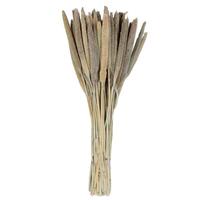 Vickerman 24" Babala Natural Stems (75 pack)