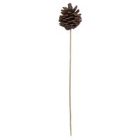 Vickerman 2" Blue Pine Natural Stem (50 Pack)