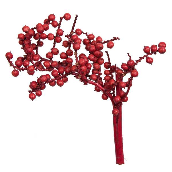 6" Canella Red Coated (25 Pack)