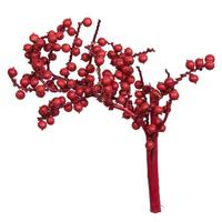 View 6" Canella Red Coated (25 Pack)