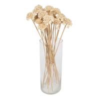 View 1.3-1.75" Cedar Rose Bleached (50 pack)