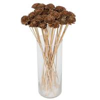 Vickerman 1.3-1.8" Cedar Rose Natural Stem (50 pack)