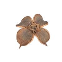 Vickerman 0.8" Cotton Flower Natural (1 Kg Pack)