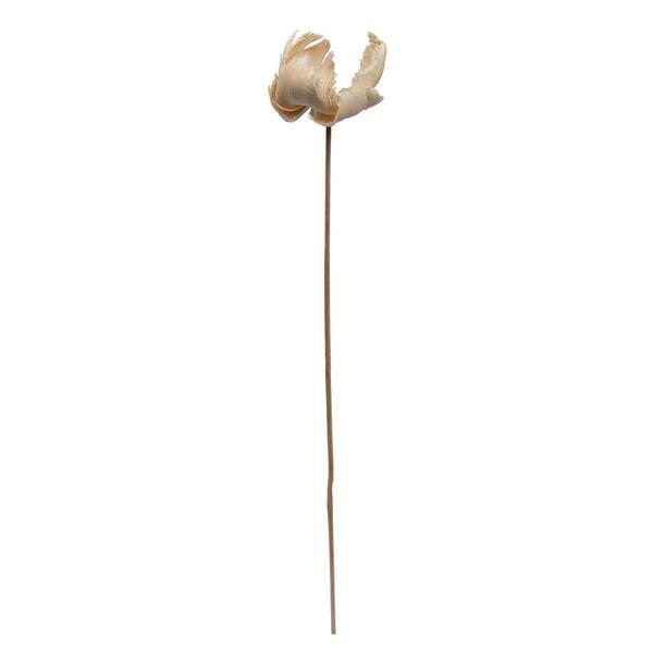 2.75" Palm Cap Bleached Stem Pod (25 pieces)