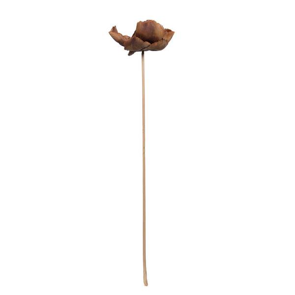 2.75" Palm Cap Natural Stem Pod (75 pieces)