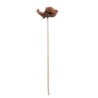 View 2.75" Palm Cap Natural Stem Pod (75 pieces)