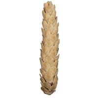 Vickerman 10" Bleached White Extra Large Pine Cone (10 Pack)