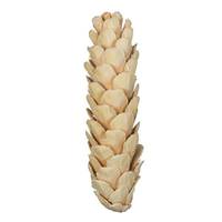 Vickerman 3.14" Bleached White Pine Cone (20 Pack)
