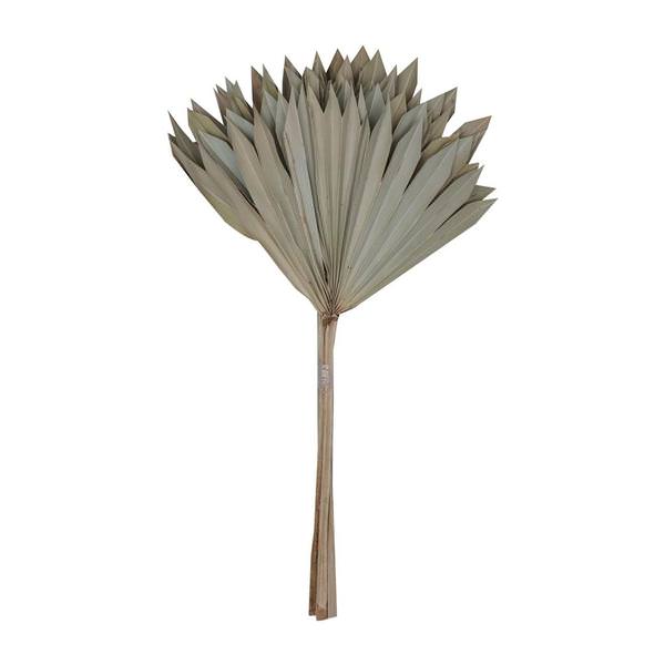20" Natural Palm Sun Stem (12 pack)