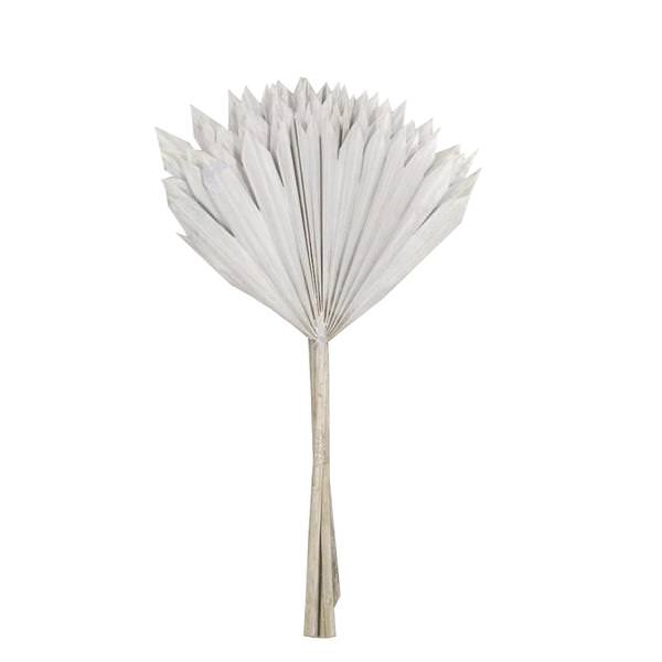 20" White Washed Palm Sun Stem (12 pack)