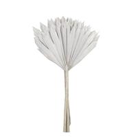 View 20" White Washed Palm Sun Stem (12 pack)