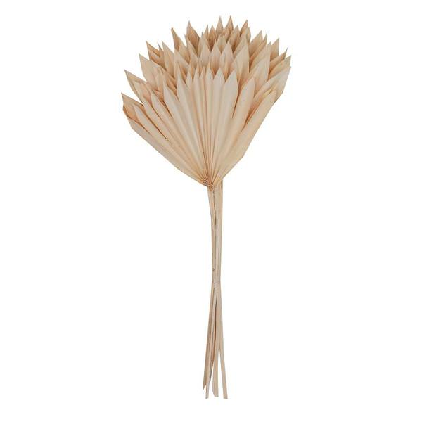 20" Bleached Palm Sun Stem (12 pack)